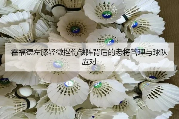 霍福德左膝轻微挫伤缺阵背后的老将管理与球队应对